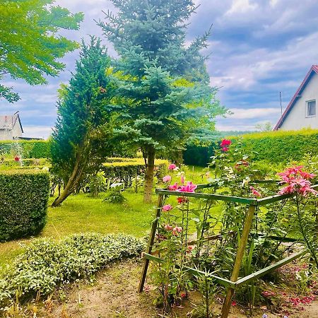 Agroturystyka Szerokopas Nidzica Buitenkant foto